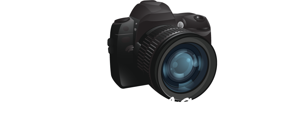 Picture This… Photography @ MarvsPhotography.com Logo
